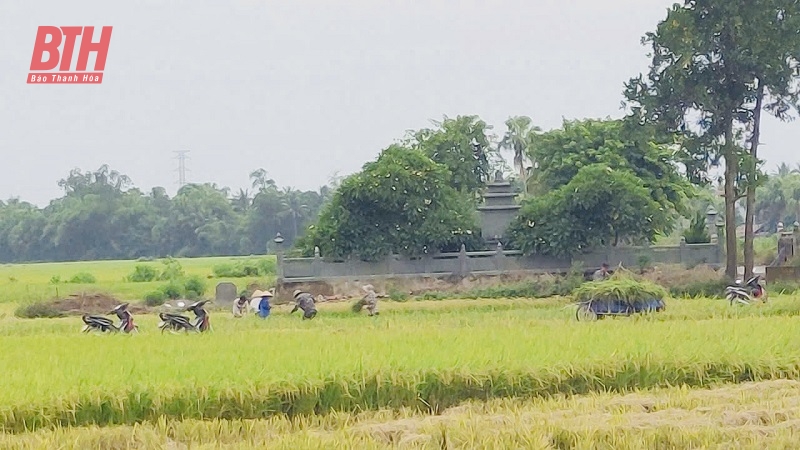 Các ngành, địa phương tập trung cao ứng phó với bão số 3