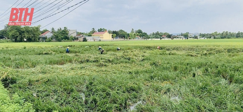 Các ngành, địa phương tập trung cao ứng phó với bão số 3