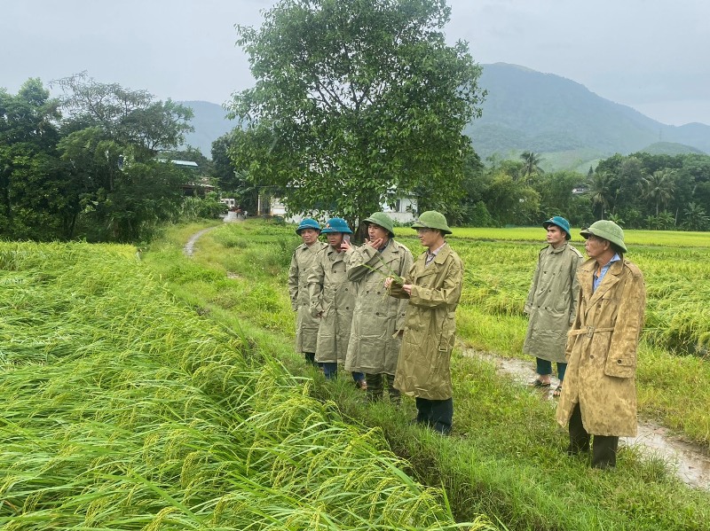 Các ngành, địa phương tập trung cao ứng phó với bão số 3