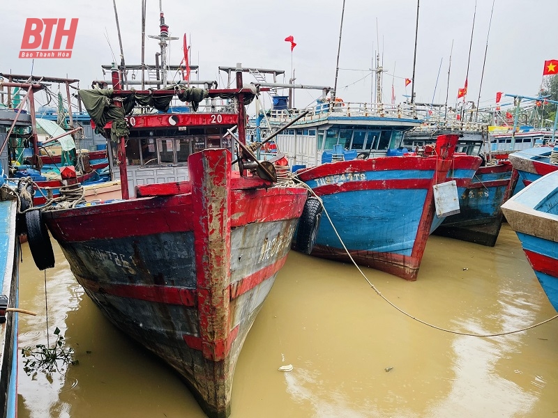 Tập trung ứng phó bão số 3 và mưa lũ sau bão