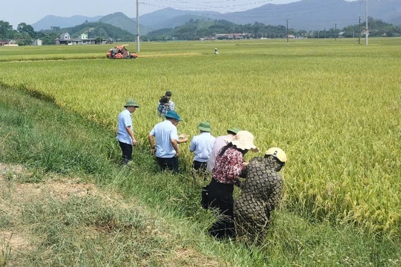 Các ngành, địa phương tập trung cao ứng phó với bão số 3