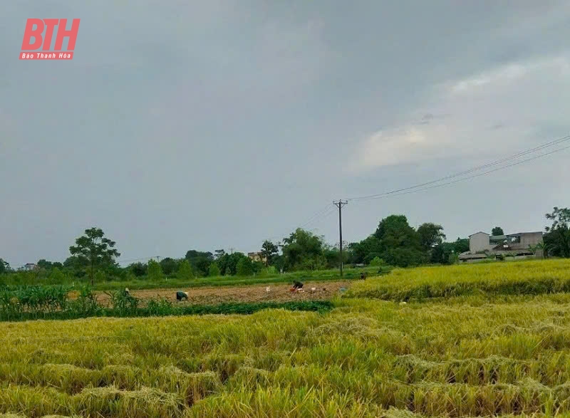 Các ngành, địa phương tập trung cao ứng phó với bão số 3
