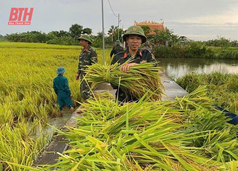 Các ngành, địa phương tập trung cao ứng phó với bão số 3