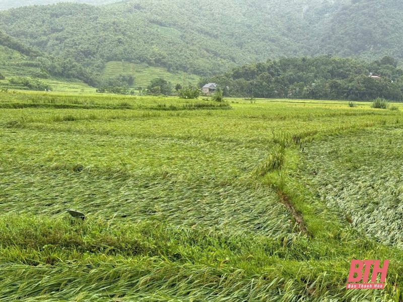 Các ngành, địa phương tập trung cao ứng phó với bão số 3