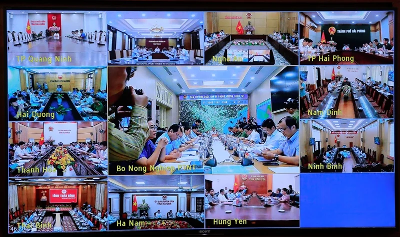 Triển khai ngay m m88 pháp giảm thiểu tối đa thiệt hại do bão số 3 gây ra
