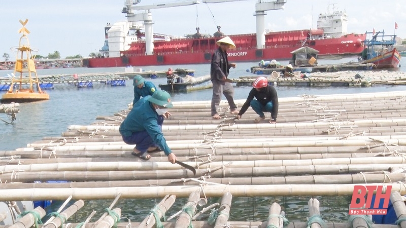 Thị xã Nghi Sơn: Phấn đấu xử lý dứt điểm việc nuôi trồng thủy sản tự phát trong năm 2024