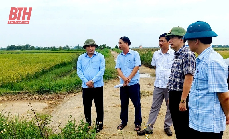 Các ngành, địa phương tập trung cao ứng phó với bão số 3