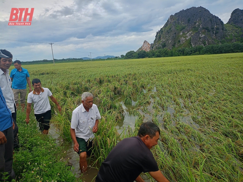 Toàn cảnh mưa lũ tại Thanh Hóa ngày 8/9