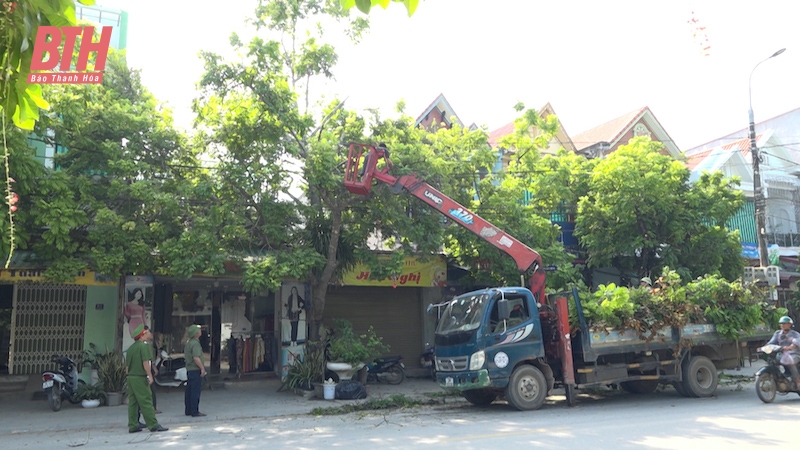 Các ngành, địa phương tập trung cao ứng phó với bão số 3