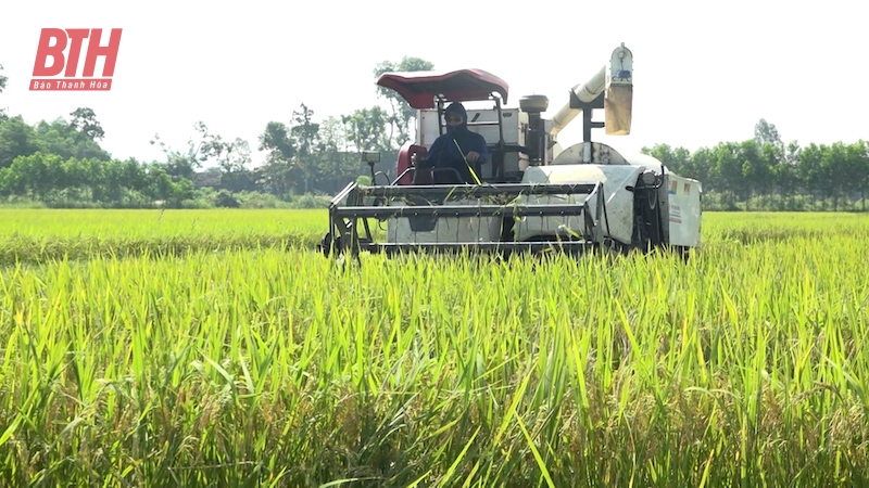 Các ngành, địa phương tập trung cao ứng phó với bão số 3