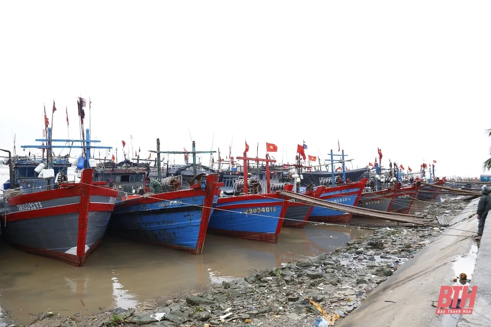 Chủ tịch UBND tỉnh Đỗ Minh Tuấn kiểm tra công tác ứng phó với bão số 3 tại huyện Hoằng Hóa và TP Sầm Sơn