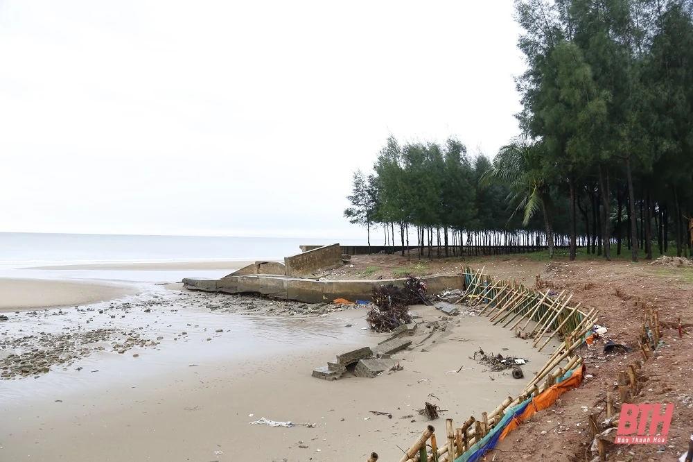 Chủ tịch UBND tỉnh Đỗ Minh Tuấn kiểm tra công tác ứng phó với bão số 3 tại huyện Hoằng Hóa và TP Sầm Sơn