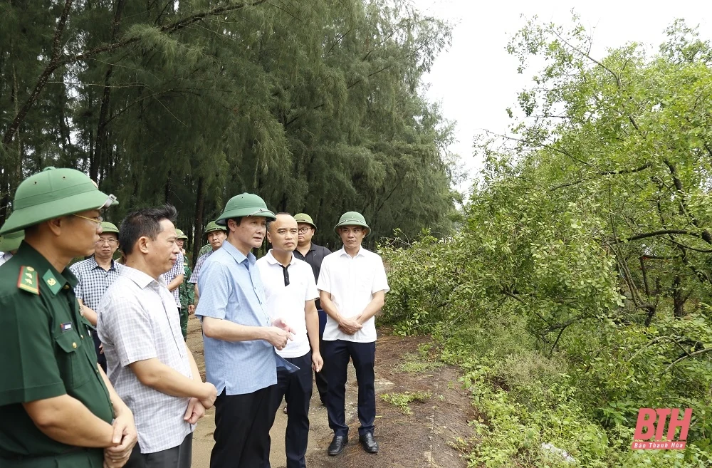 Chủ tịch UBND tỉnh Đỗ Minh Tuấn kiểm tra công tác ứng phó với bão số 3 tại huyện Hoằng Hóa và TP Sầm Sơn