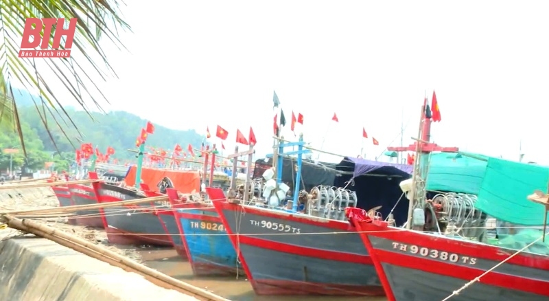Huyện Hoằng link đăng nhập m88 chủ động ứng phó bão Yagi 