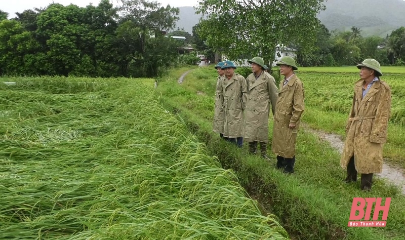 Các ngành, địa phương tập trung cao ứng phó với bão số 3