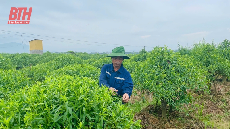 Đồng đất “chuyển mình” từ một nghị quyết