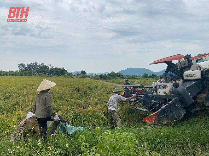 Hậu Lộc chủ động ứng phó với bão số 3