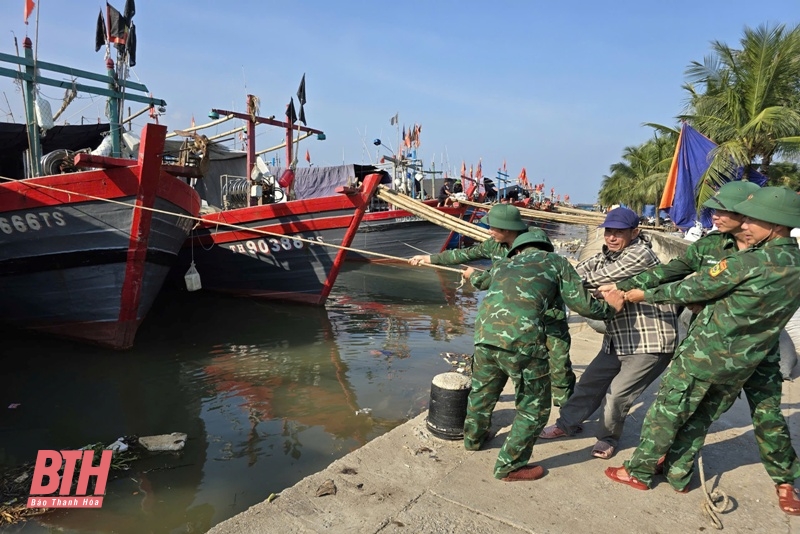 Thanh Hóa: 5.234 tàu thuyền đã neo đậu an toàn tránh bão Yagi