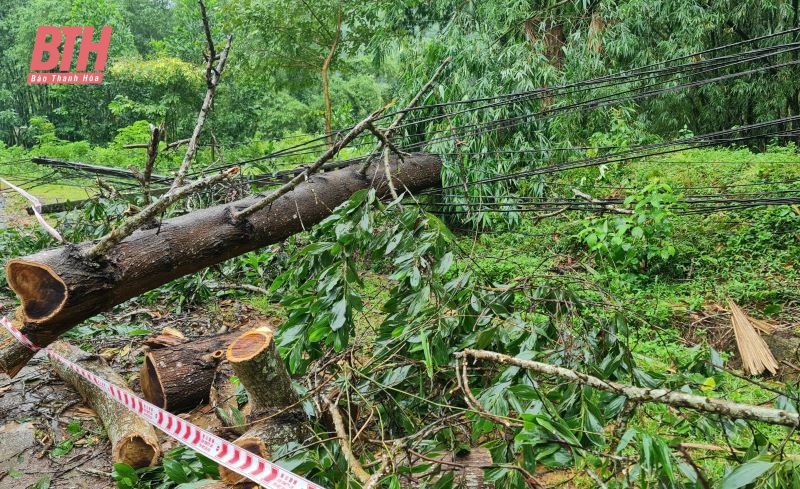 [Cập nhật] - Mưa lũ tại Thanh Hóa: Thêm 1 tàu cá của ngư dân Thanh Hóa bị chìm khi tránh trú bão số 3