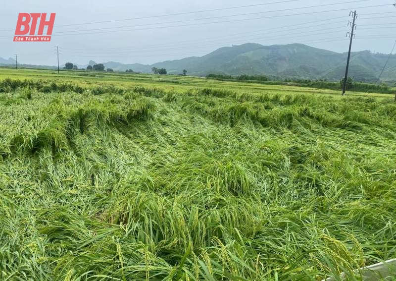 [Cập nhật] - Mưa lũ tại Thanh Hóa: Thêm 1 tàu cá của ngư dân Thanh Hóa bị chìm khi tránh trú bão số 3