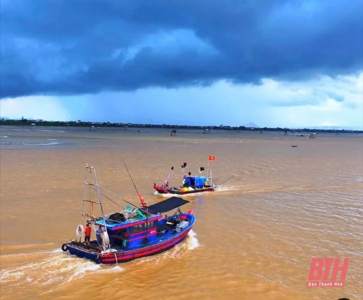 Ngư dân làng biển nhộn nhịp trong ngày vao m88