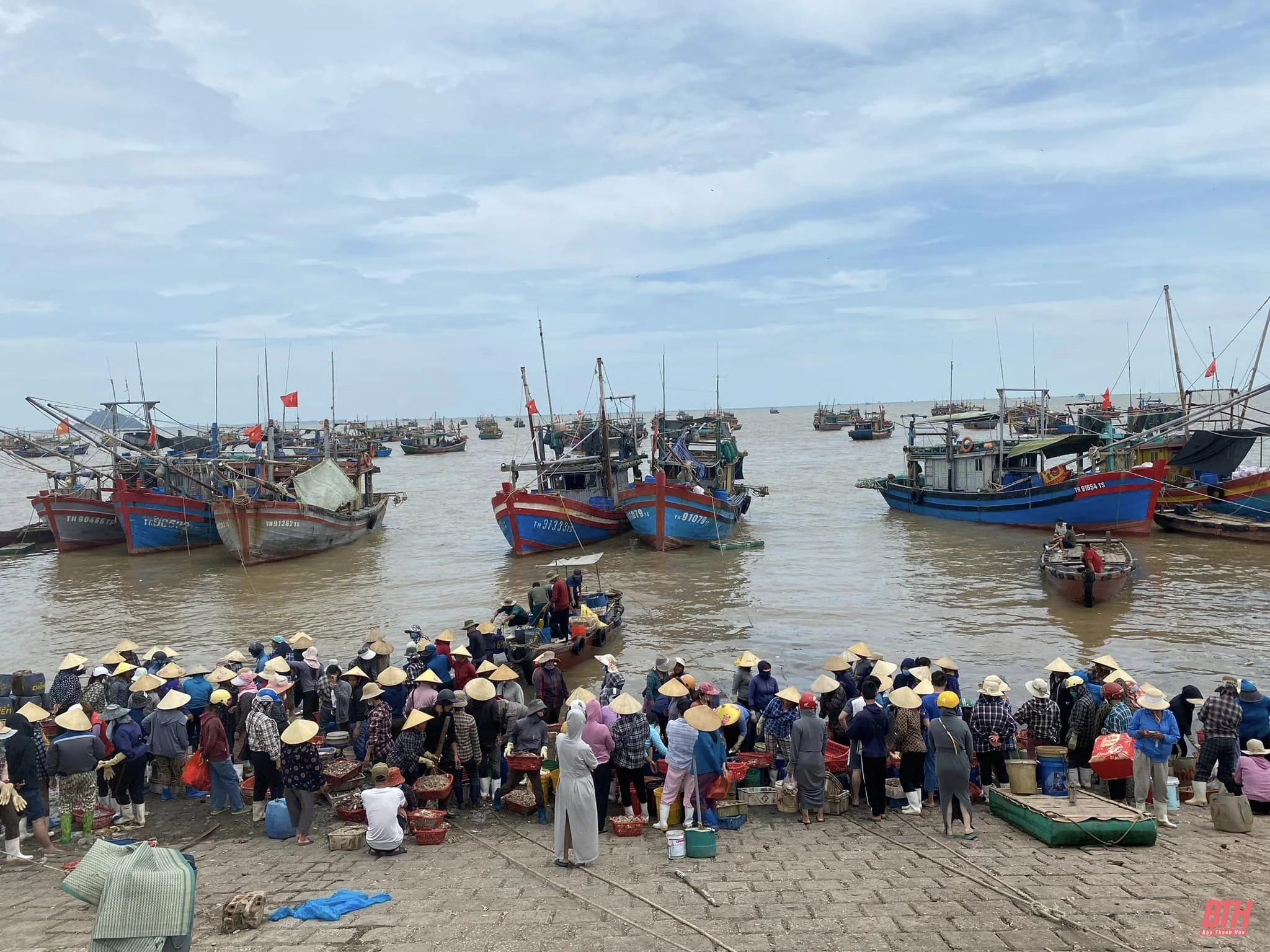 Ngư dân làng biển nhộn nhịp trong ngày vao m88