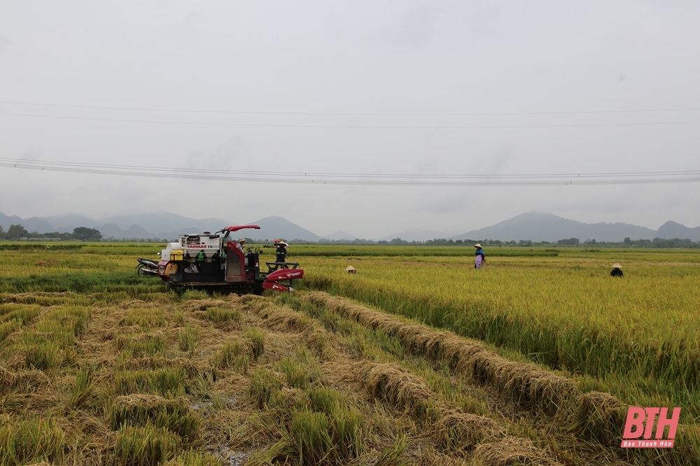 Phó Bí thư Thường trực Tỉnh ủy Lại Thế Nguyên kiểm tra tình hình ứng phó với thiên tai tại các địa phương