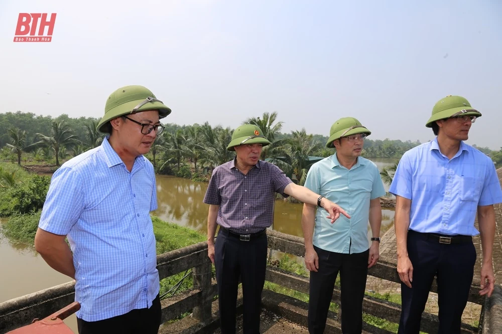 Phó Bí thư Thường trực Tỉnh uỷ Lại Thế Nguyên kiểm tra, chỉ đạo xử lý khẩn cấp sự cố thấm dột đê sông Hoạt