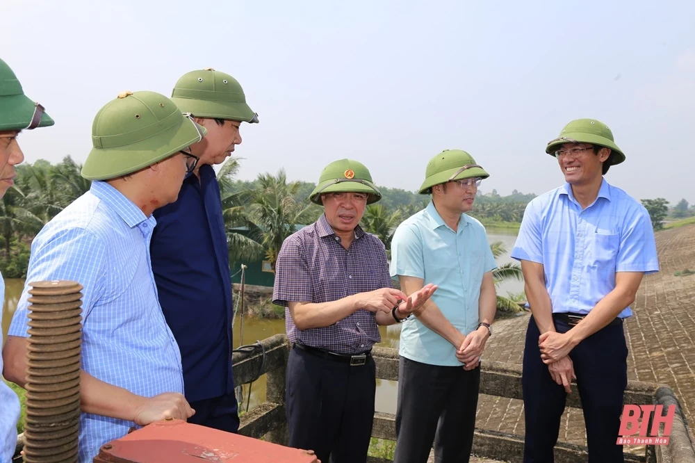 Phó Bí thư Thường trực Tỉnh uỷ Lại Thế Nguyên kiểm tra, chỉ đạo xử lý khẩn cấp sự cố thấm dột đê sông Hoạt