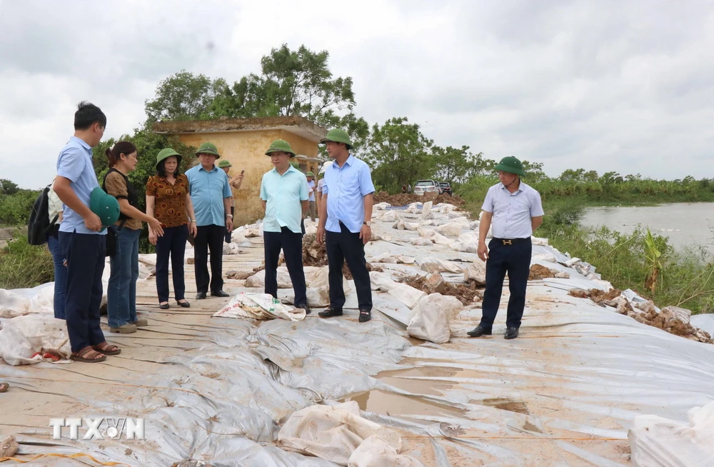 Chưa xảy ra sự cố mất an toàn đê điều tại các tỉnh thành đang có mưa lũ