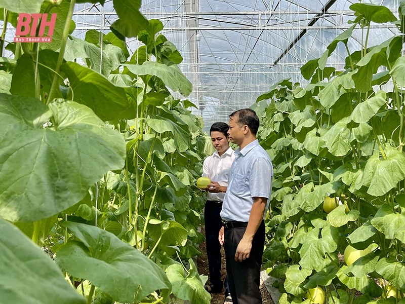 Nga Sơn phát huy quy chế dân chủ ở cơ sở, tạo sự đồng thuận trong Nhân dân