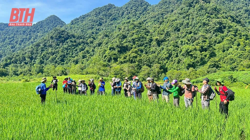 “Giữ chân” du khách những tháng cuối năm