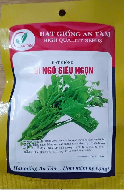 Shop bán hạt giống uy tín ở đâu? Cách chọn hạt giống tốt?