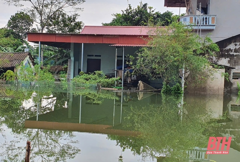 Lũ sông Bưởi gần mức báo động III, Thạch Thành sẵn sàng phương án di dời hơn 3 nghìn nhân khẩu