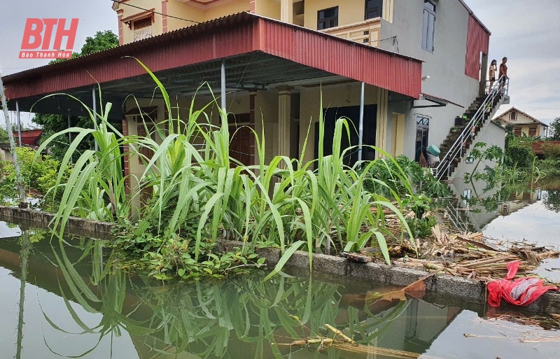 Lũ sông Bưởi gần mức báo động III, Thạch Thành sẵn sàng phương án di dời hơn 3 nghìn nhân khẩu