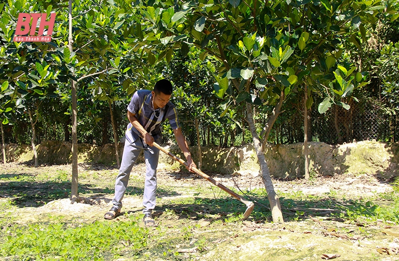 Giữ “sức khỏe” cho đất