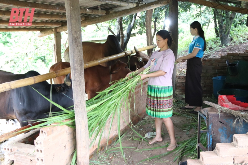 Lớp học đặc biệt cho những người “đặc biệt” (Bài 2): Thắp sáng vùng biên