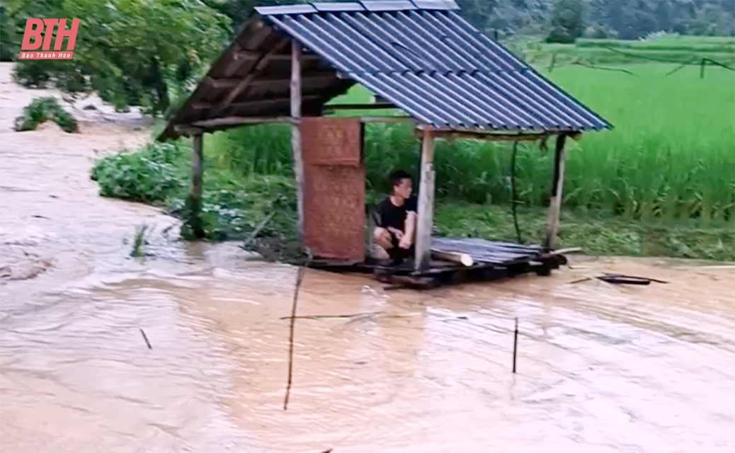 Xã Mường Chanh (Mường Lát) sơ tán khẩn cấp hàng chục hộ dân do lũ lớn