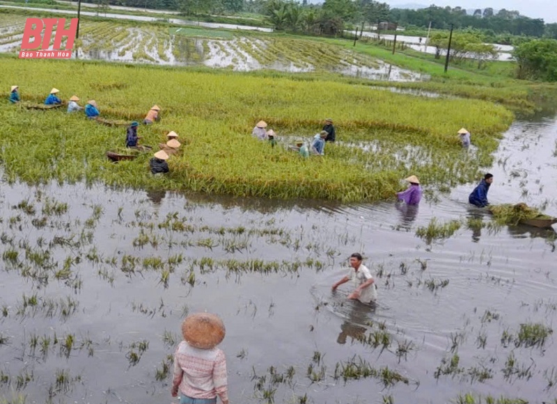 Hội LHPN các huyện khẩn trương khắc phục hậu quả do mưa, ngập lụt