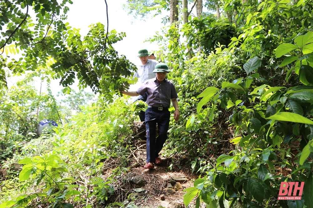 Phó Bí thư Thường trực Tỉnh uỷ Lại Thế Nguyên kiểm tra tình hình ứng phó với thiên tai tại Thạch Thành