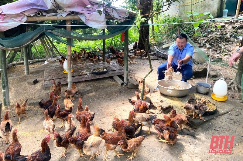 Kiểm tra, đánh giá dự án Liên kết chăn nuôi gà ri theo hướng an toàn sinh học gắn với tiêu thụ sản phẩm trên địa bàn xã Xuân Lộc