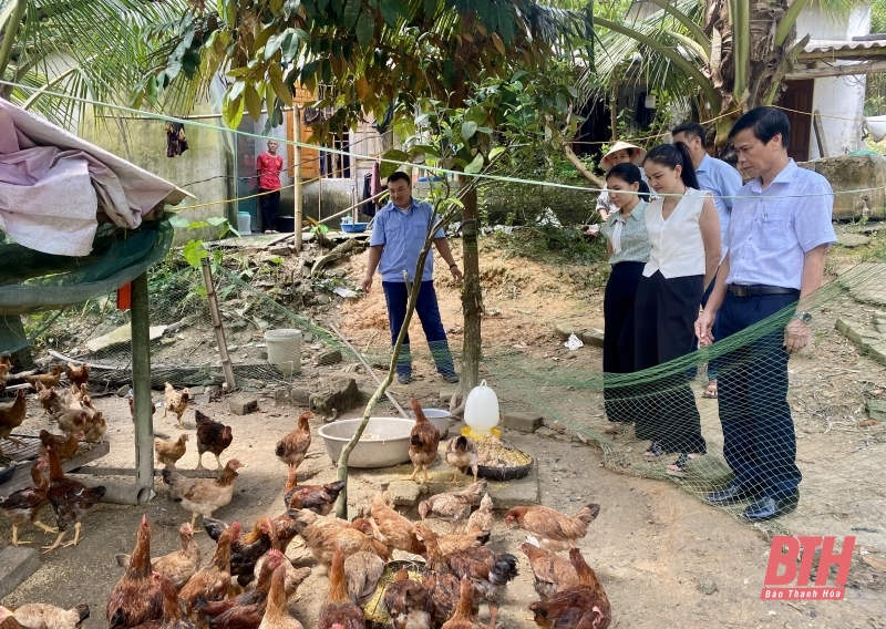 Kiểm tra, đánh giá dự án Liên kết chăn nuôi gà ri theo hướng an toàn sinh học gắn với tiêu thụ sản phẩm trên địa bàn xã Xuân Lộc