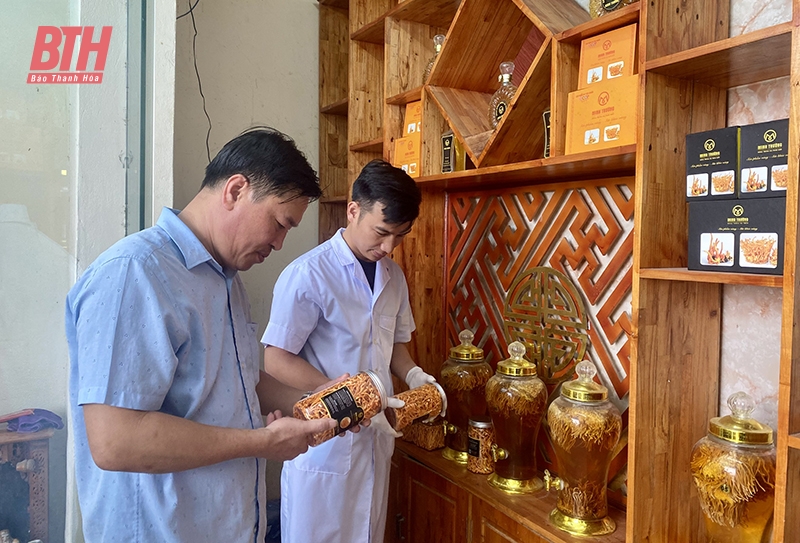Quảng bá kèo nhà cái m88 gắn với du lịch trải nghiệm