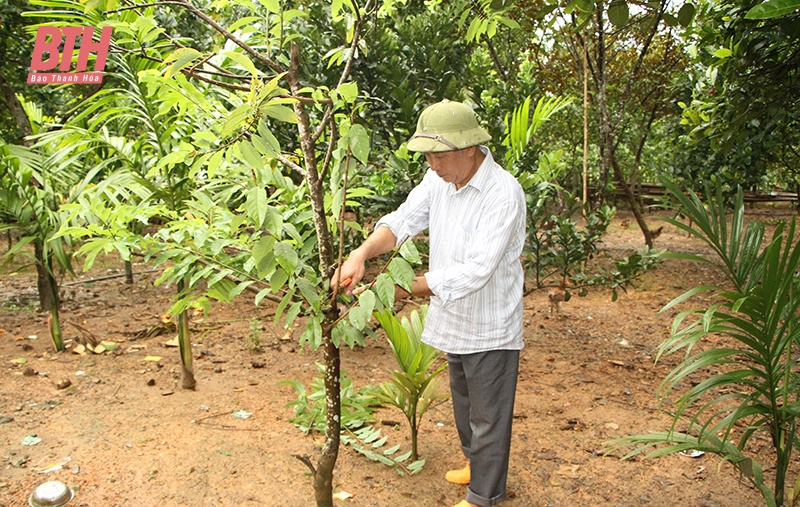 Phát huy vai trò người có uy tín trong đồng bào dân tộc thiểu số