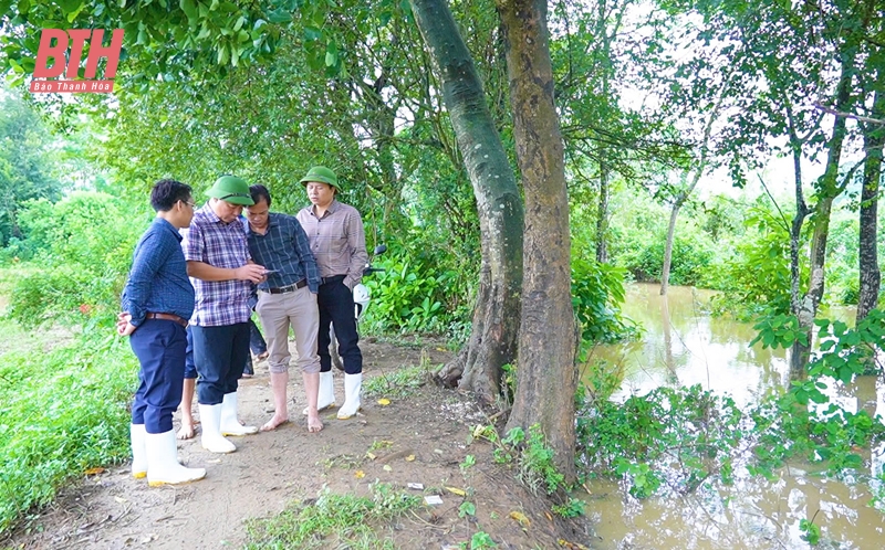 Hậu Lộc: Di dời gần 300 nhân khẩu sinh sống trên tuyến đê sông Lèn, sông Lạch Trường