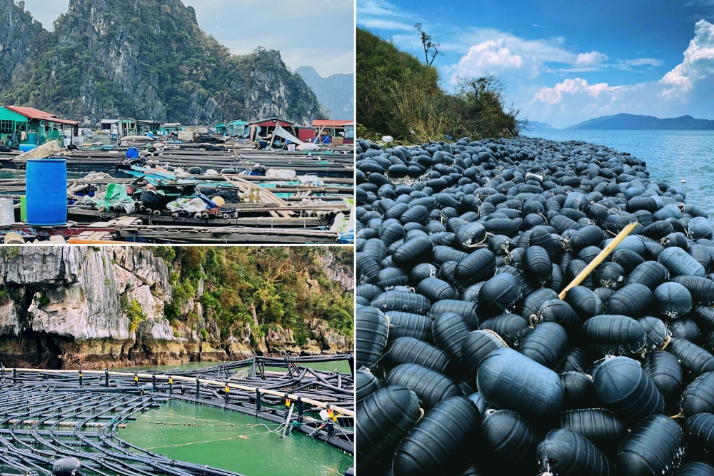 Thủ tướng yêu cầu tập trung triển khai kèo nhà cái m88 biện pháp nhanh chóng phục hồi sản xuất nông nghiệp sau bão số 3 và mưa lũ