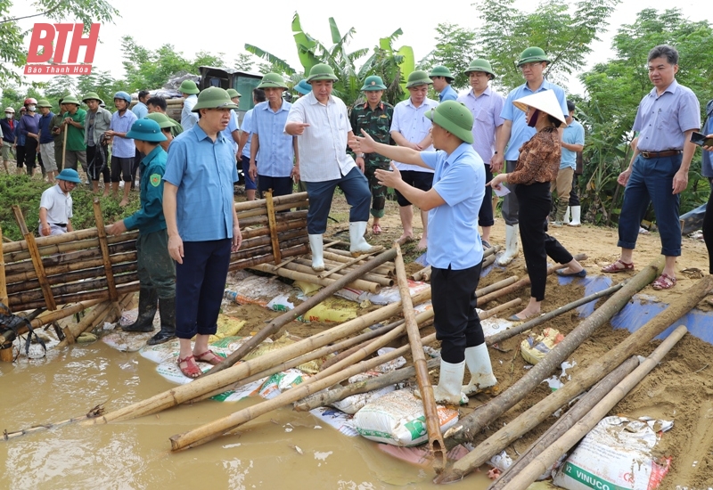 Phó Chủ tịch UBND tỉnh Lê Đức Giang kiểm tra, chỉ đạo khắc phục sự cố đê bối ở huyện Hậu Lộc