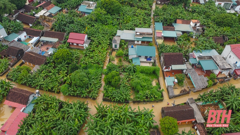 Dân làng sơ tán vật nuôi, đồ đạc lên đê tránh lũ