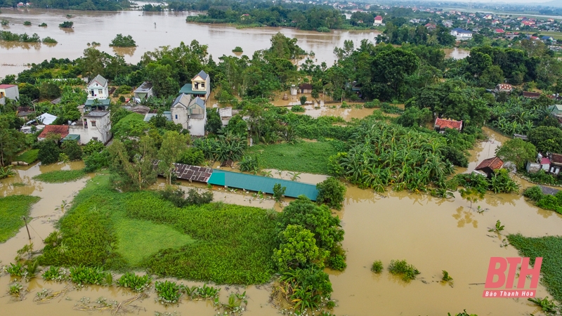 Dân làng sơ tán vật nuôi, đồ đạc lên đê tránh lũ