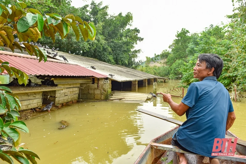 Dân làng sơ tán vật nuôi, đồ đạc lên đê tránh lũ